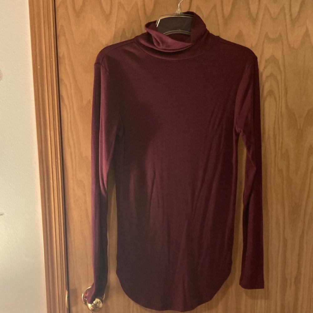 Elegant Maroon Long Sleeve Turtleneck Top
